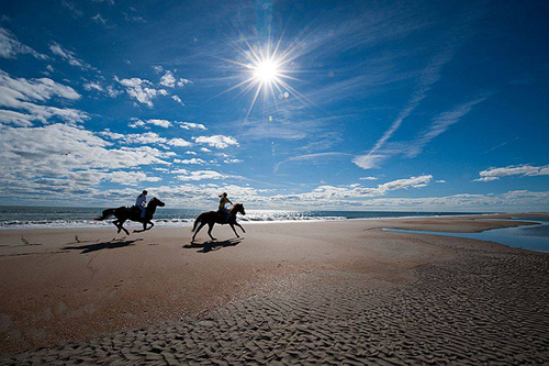 Image Brésil : Plages et cocotiers à cheval