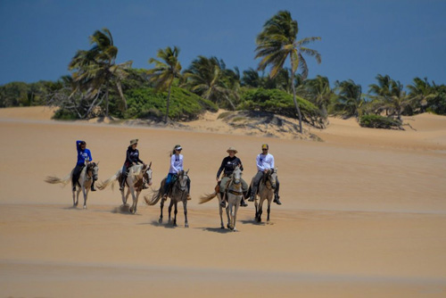 Image Brésil : Plages et cocotiers à cheval