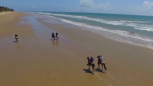 Image Brésil : Plages et cocotiers à cheval