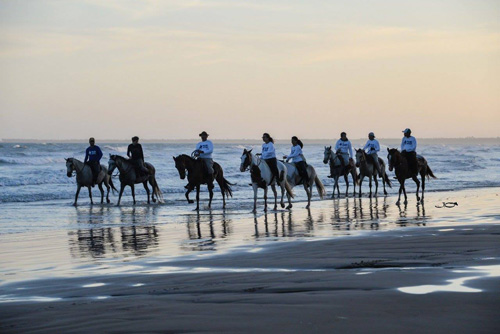 Image Brésil : Plages et cocotiers à cheval
