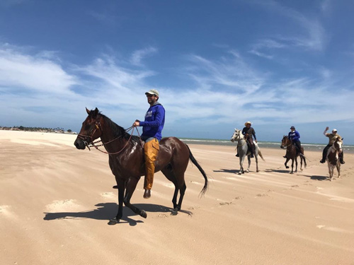 Image Brésil : Plages et cocotiers à cheval