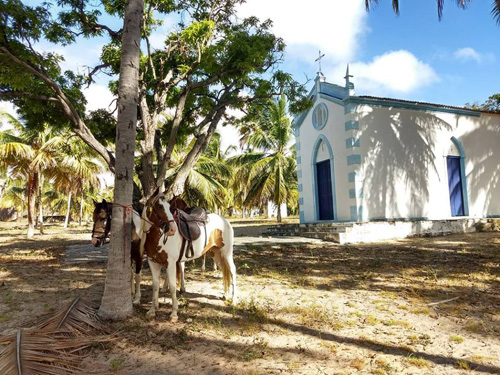 Image Brésil : Plages et cocotiers à cheval