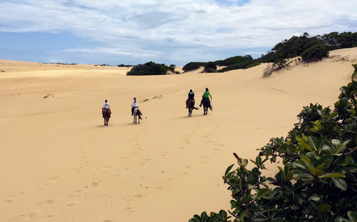 Image Brésil : Plages et cocotiers à cheval