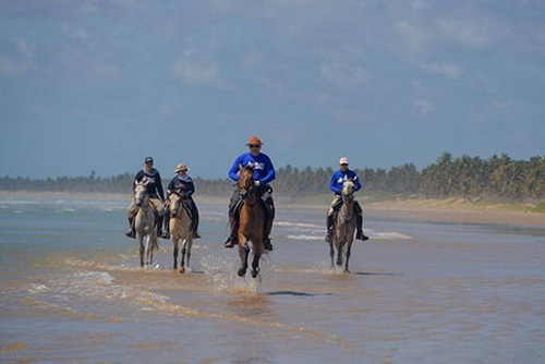 Image Brésil : Plages et cocotiers à cheval