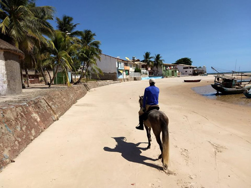 Image Brésil : Plages et cocotiers à cheval