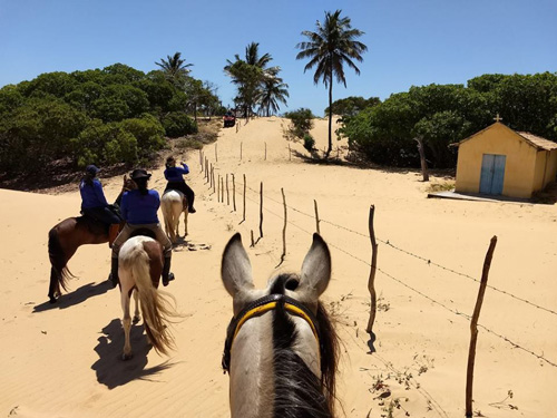 Image Brésil : Plages et cocotiers à cheval