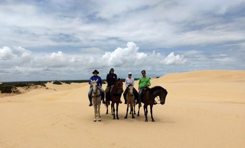 Image Brésil : Plages et cocotiers à cheval