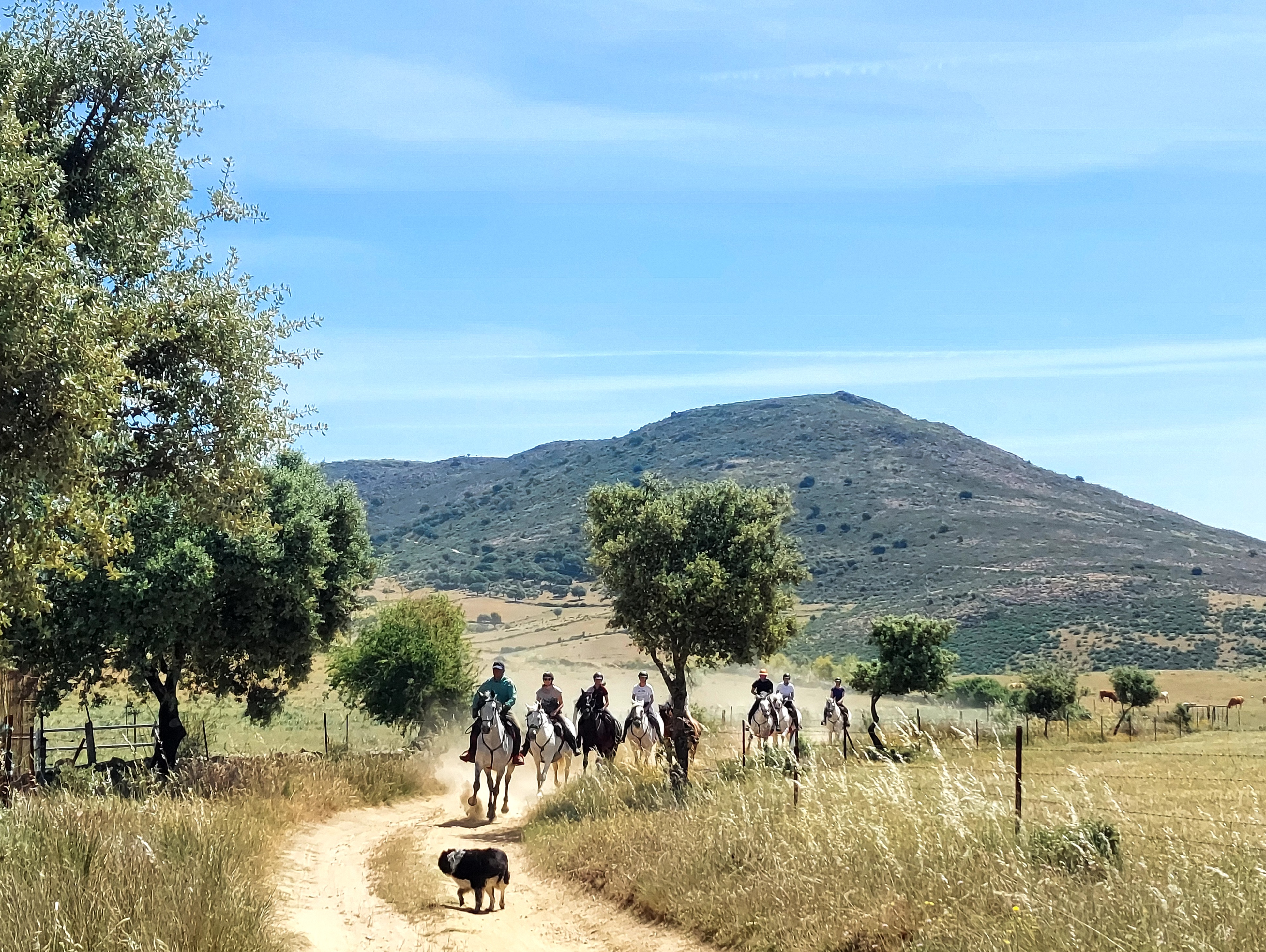 Image Espagne : De Trujillo à Guadalupe à cheval