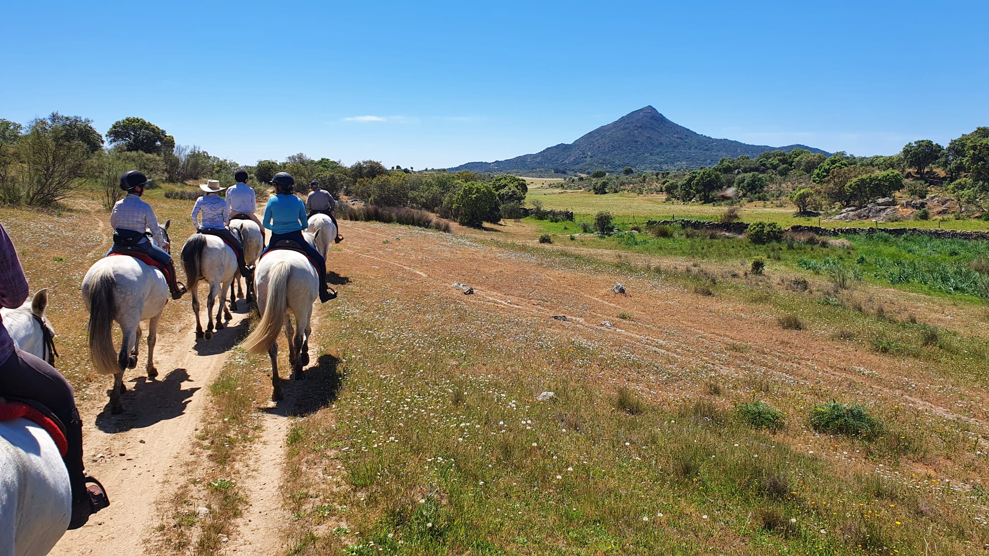 Image Espagne : De Trujillo à Guadalupe à cheval