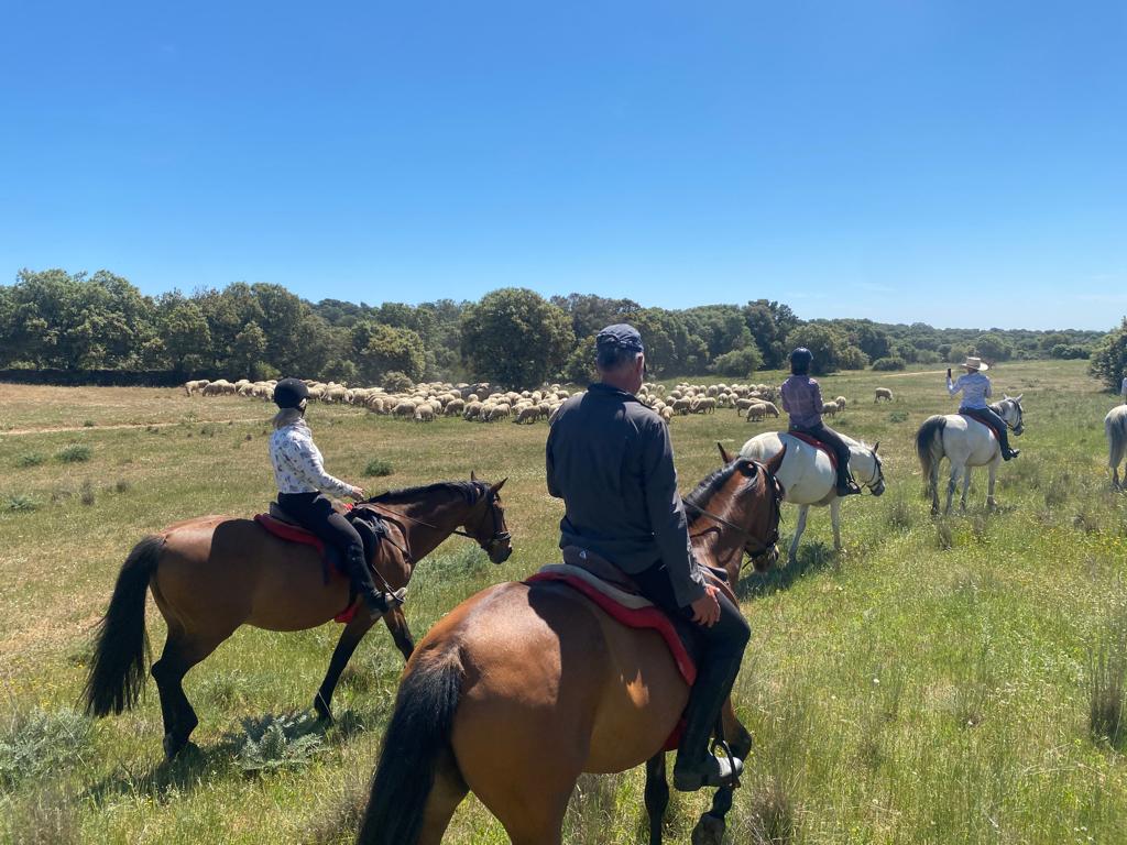 Image Espagne : De Trujillo à Guadalupe à cheval