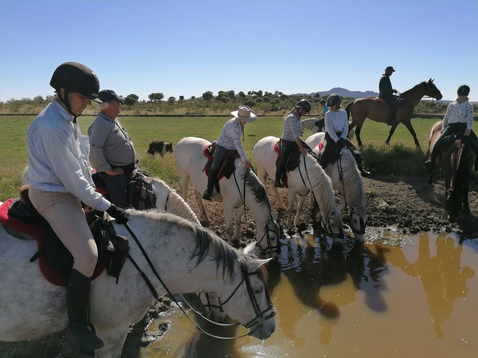 Image Espagne : De Trujillo à Guadalupe à cheval