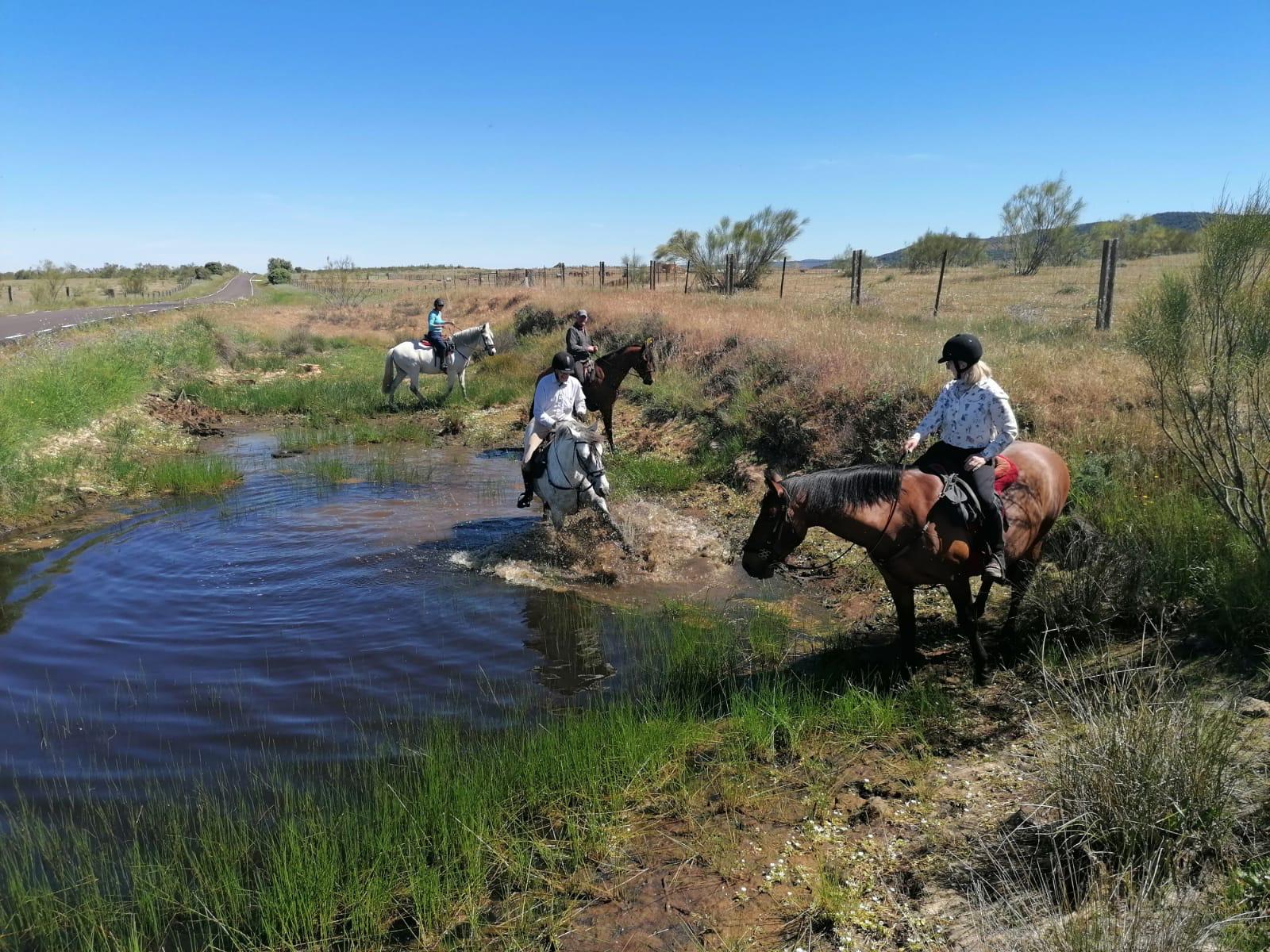 Image Espagne : De Trujillo à Guadalupe à cheval