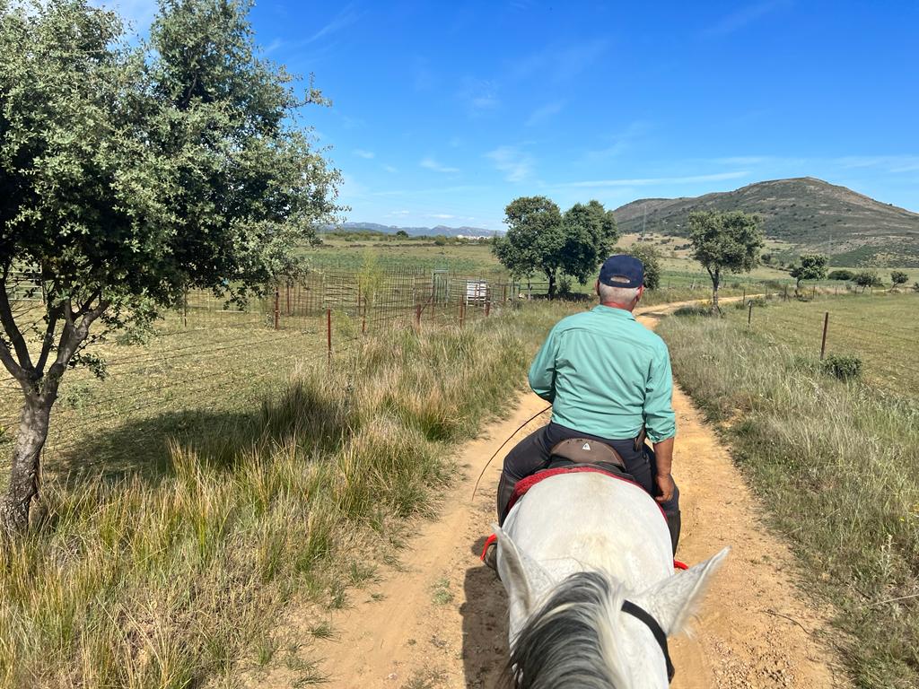 Image Espagne : De Trujillo à Guadalupe à cheval