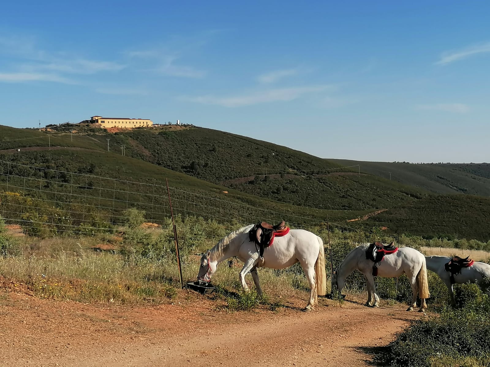Image Espagne : De Trujillo à Guadalupe à cheval