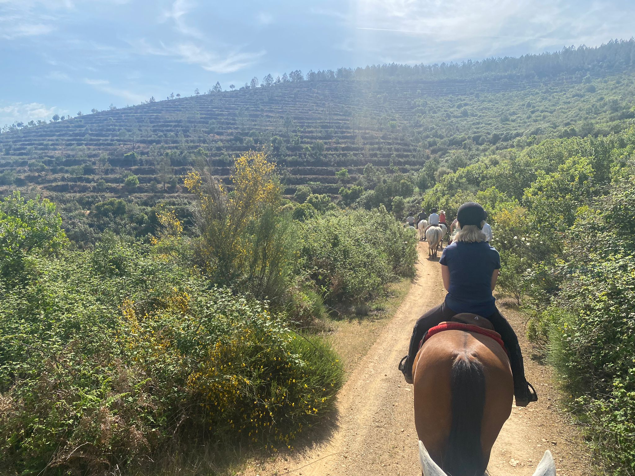 Image Espagne : De Trujillo à Guadalupe à cheval