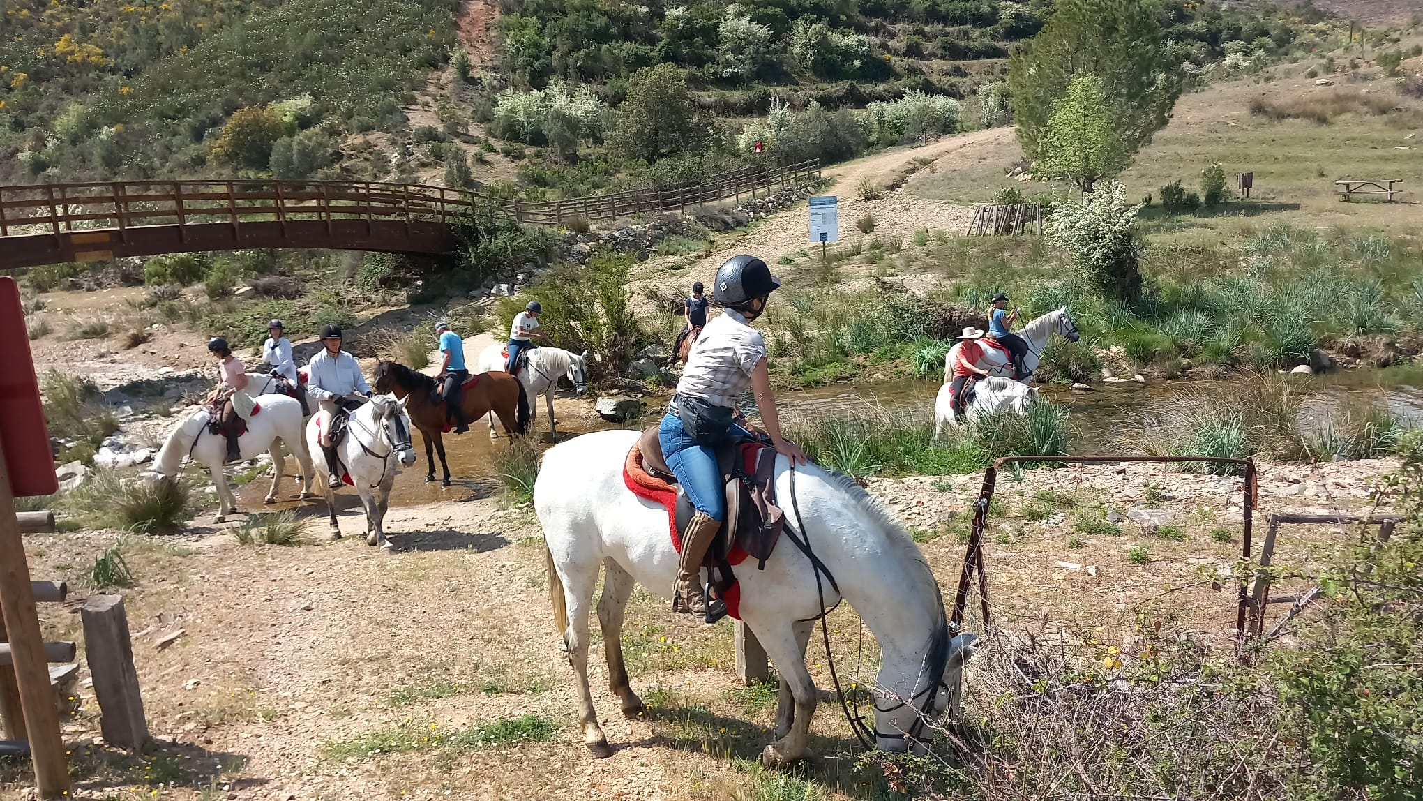 Image Espagne : De Trujillo à Guadalupe à cheval