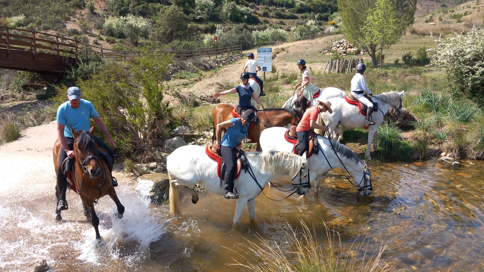 Image Espagne : De Trujillo à Guadalupe à cheval