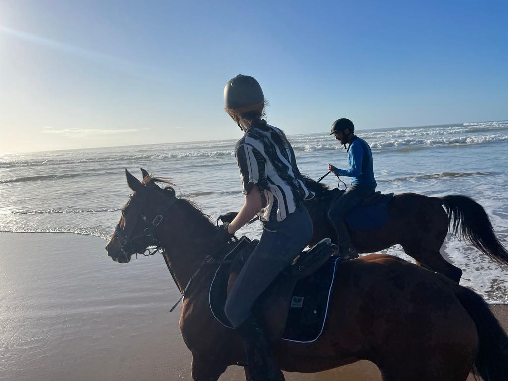 Image Randonnée à cheval sportive au Maroc