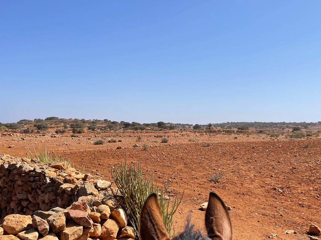 Image Découverte de la rando à cheval et du Maroc
