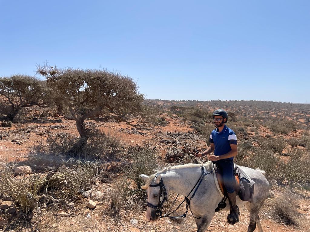 Image Découverte de la rando à cheval et du Maroc