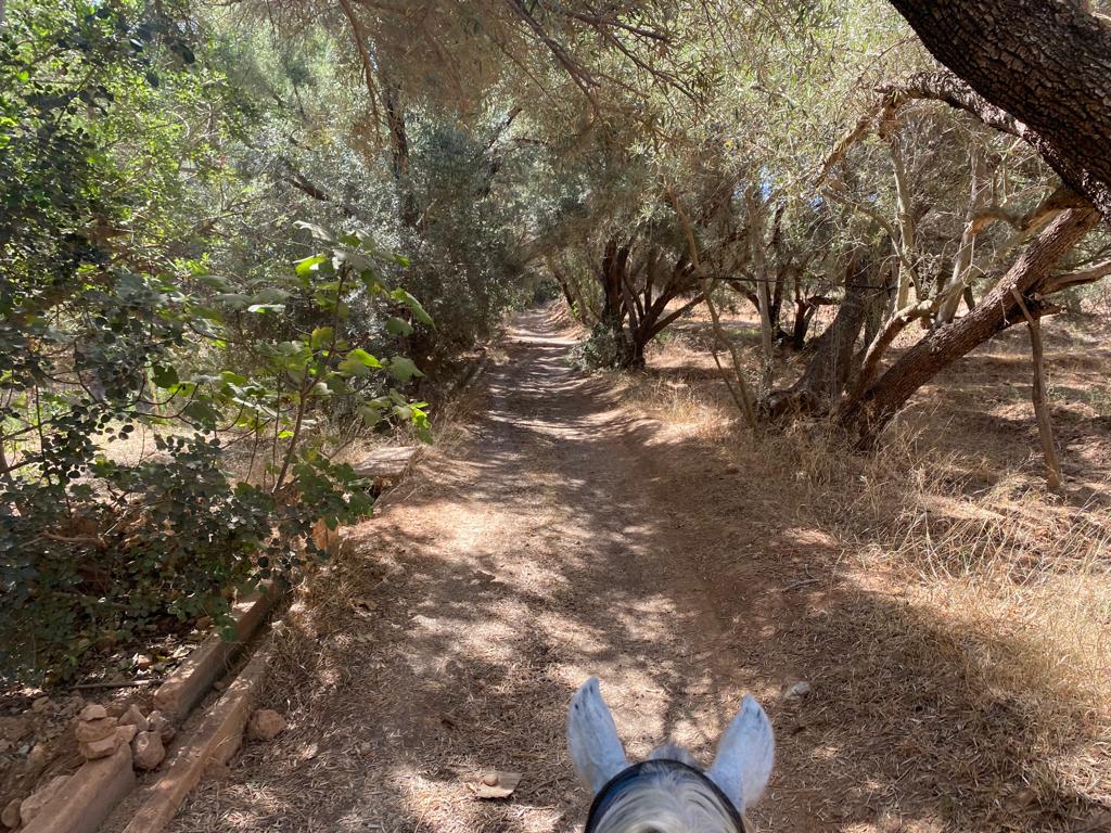 Image Découverte de la rando à cheval et du Maroc
