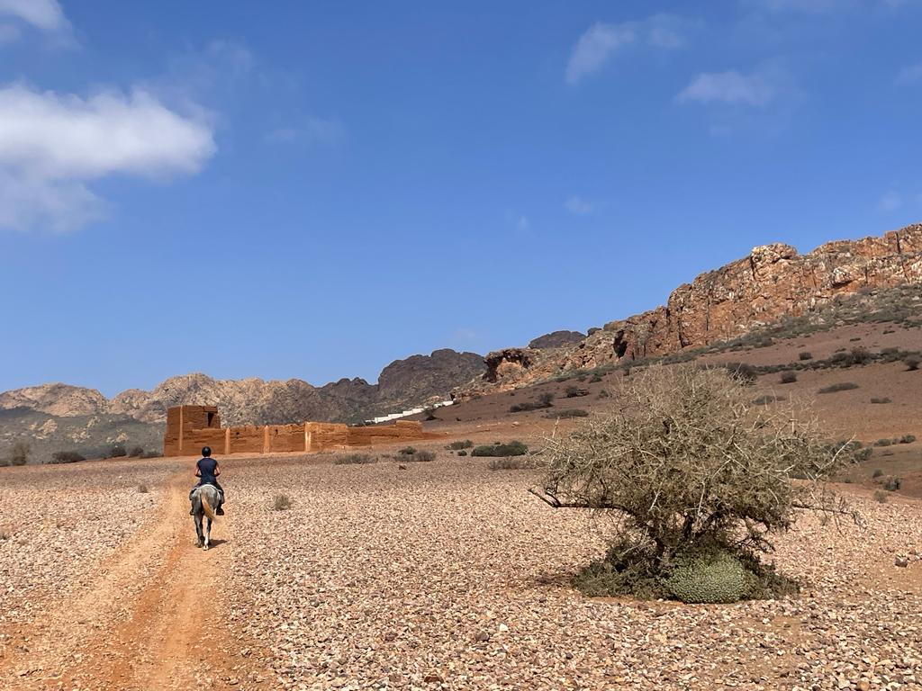 Image Découverte de la rando à cheval et du Maroc