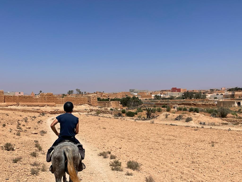 Image Découverte de la rando à cheval et du Maroc
