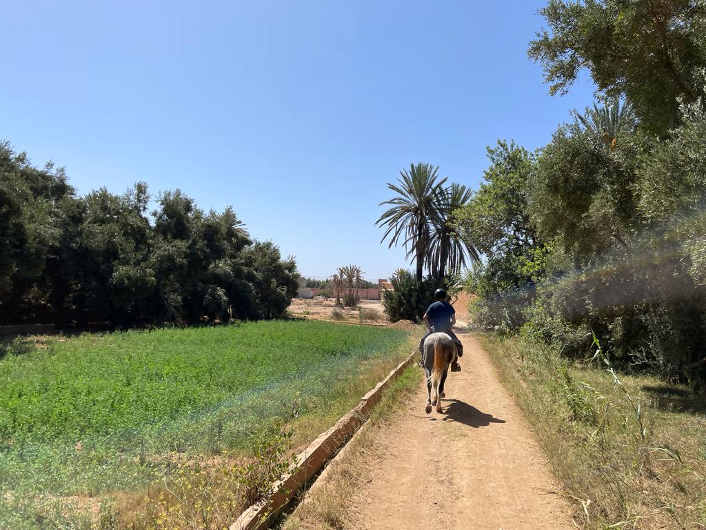 Image Découverte de la rando à cheval et du Maroc