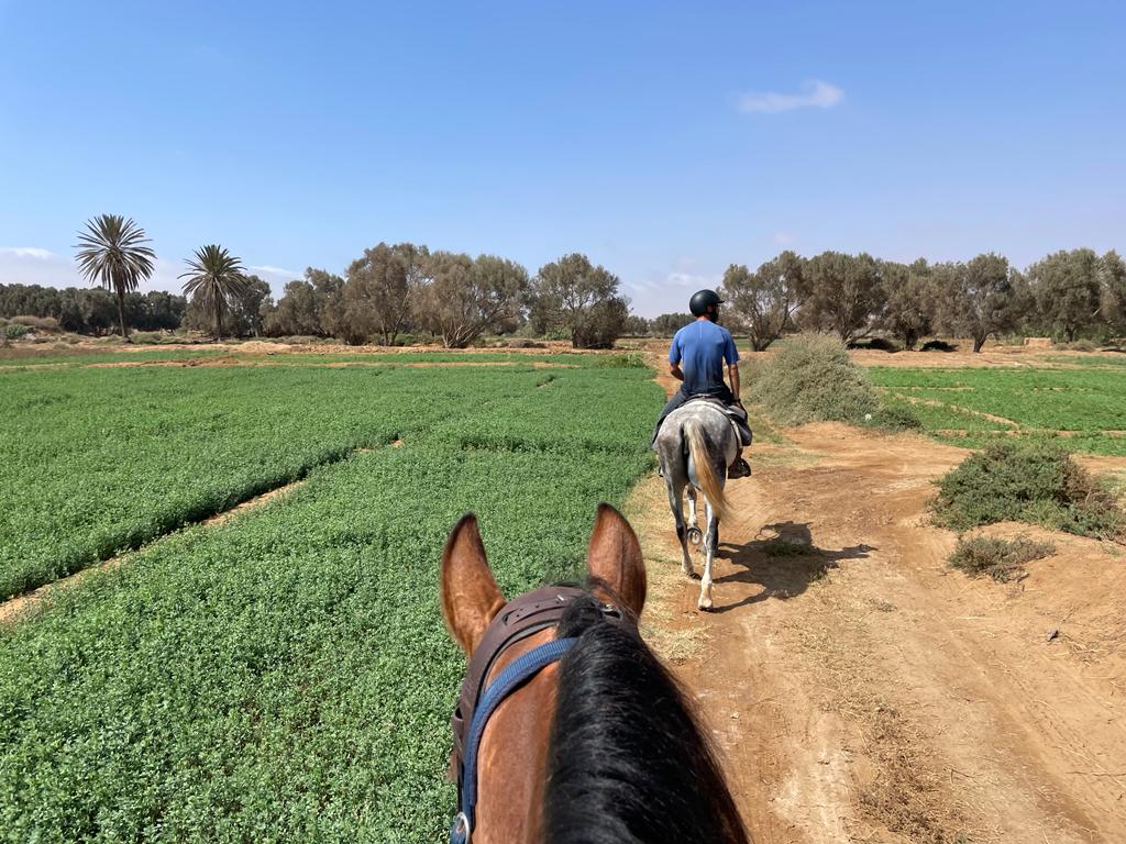 Image Découverte de la rando à cheval et du Maroc