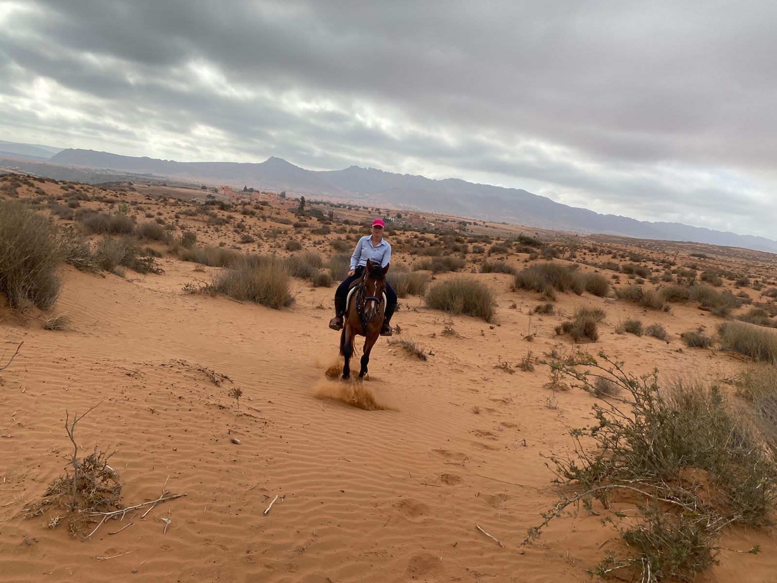 Image Découverte de la rando à cheval et du Maroc