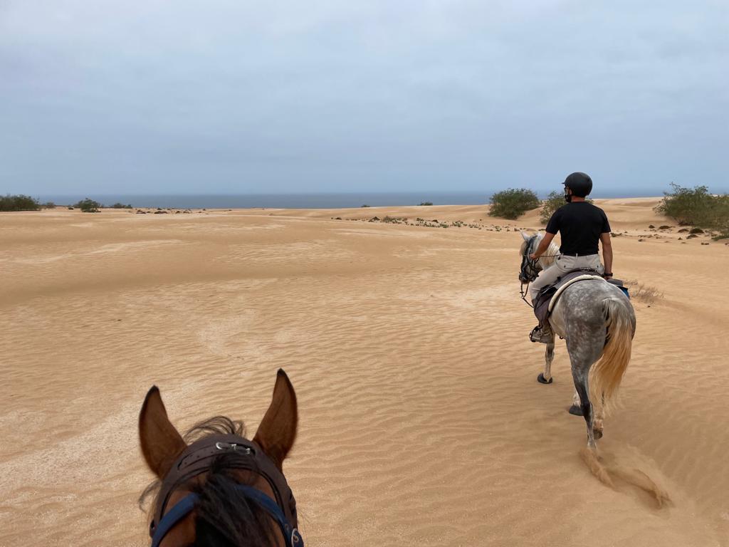 Image Découverte de la rando à cheval et du Maroc