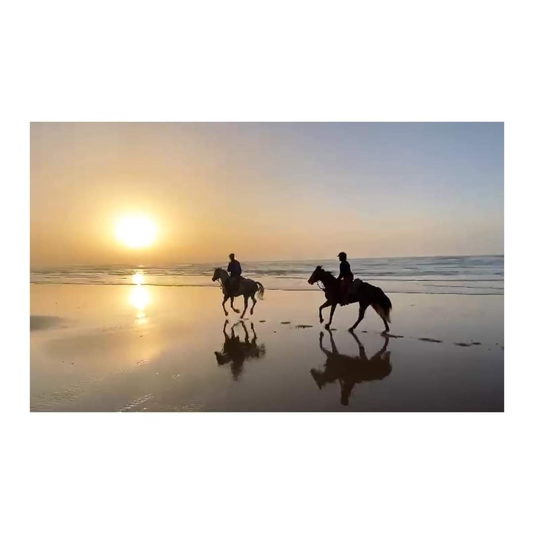 Image Randonnée à cheval en étoile & Equitation au Sud d'Agadir