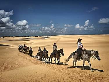 Image Brésil : Plages et cocotiers à cheval