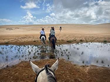 Image Brésil : Plages et cocotiers à cheval