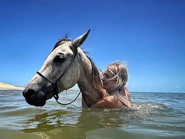 Image Brésil : Plages et cocotiers à cheval