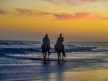 Image Brésil : Plages et cocotiers à cheval