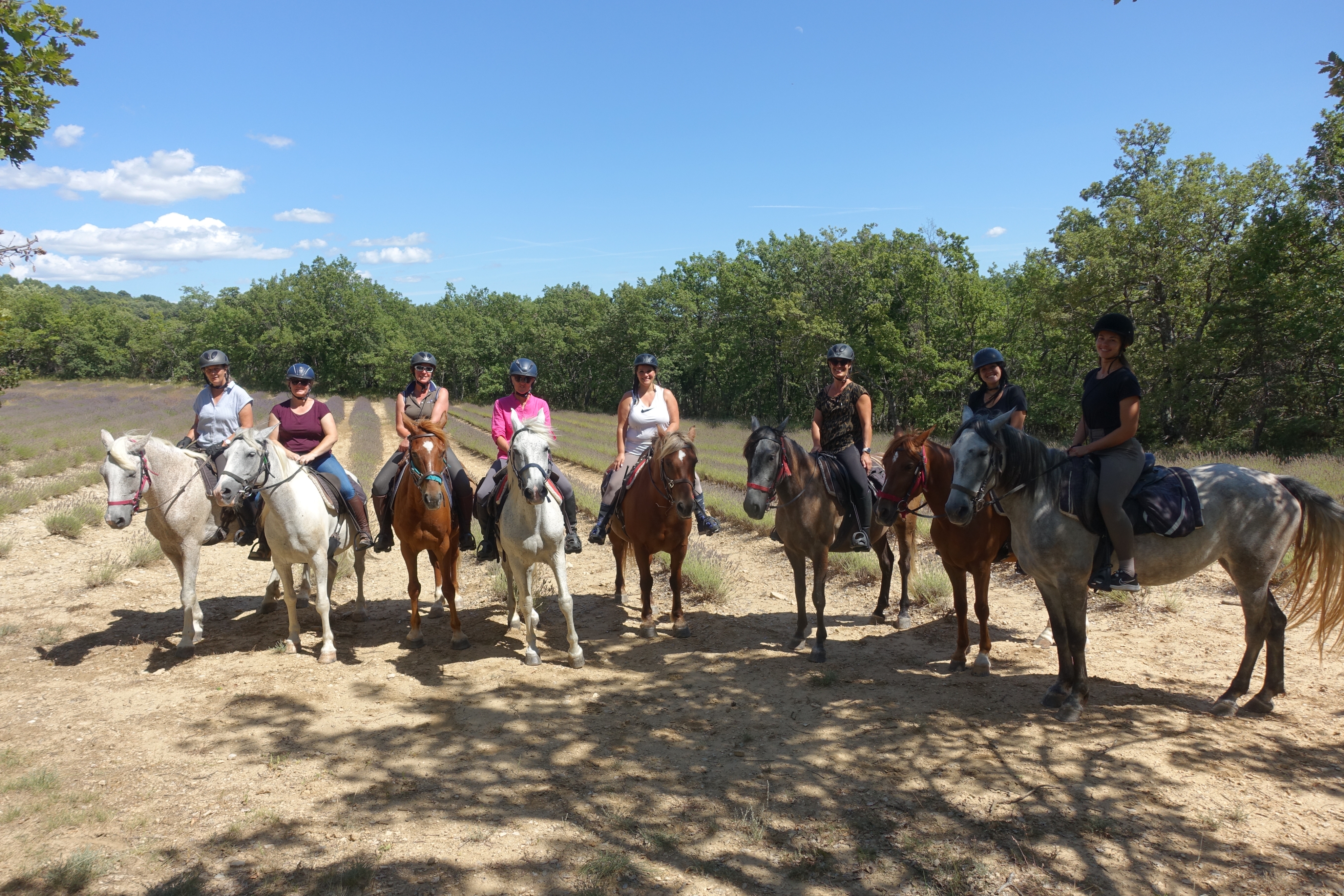 Voyage à cheval en PROVENCE