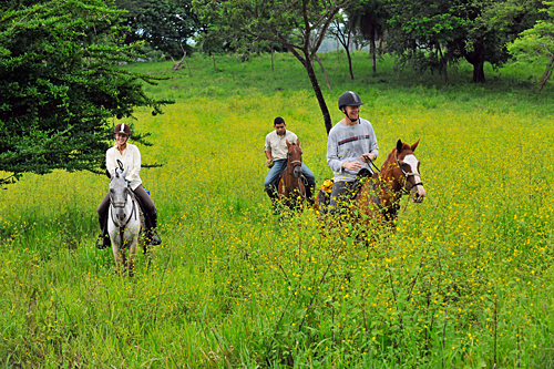 Image Costa Rica : Forêt tropicale à cheval & multi activités