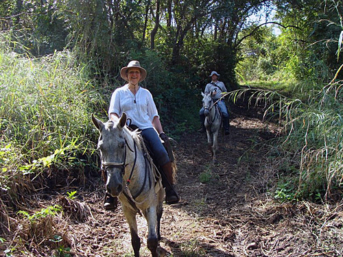 Image Costa Rica : Forêt tropicale à cheval & multi activités