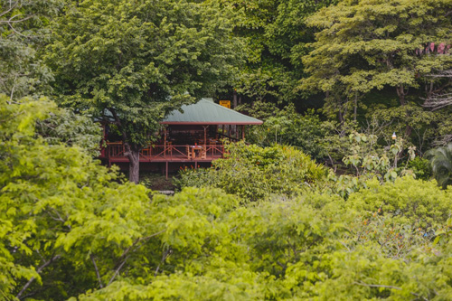 Image Costa Rica : Forêt tropicale à cheval & multi activités