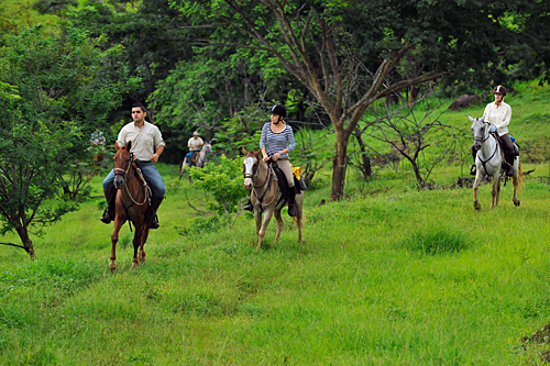 Image Costa Rica : Forêt tropicale à cheval & multi activités