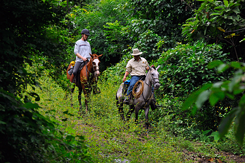Image Costa Rica : Forêt tropicale à cheval & multi activités