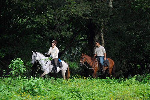 Image Costa Rica : Forêt tropicale à cheval & multi activités