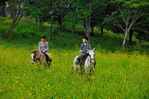 Image Costa Rica : Forêt tropicale à cheval & multi activités