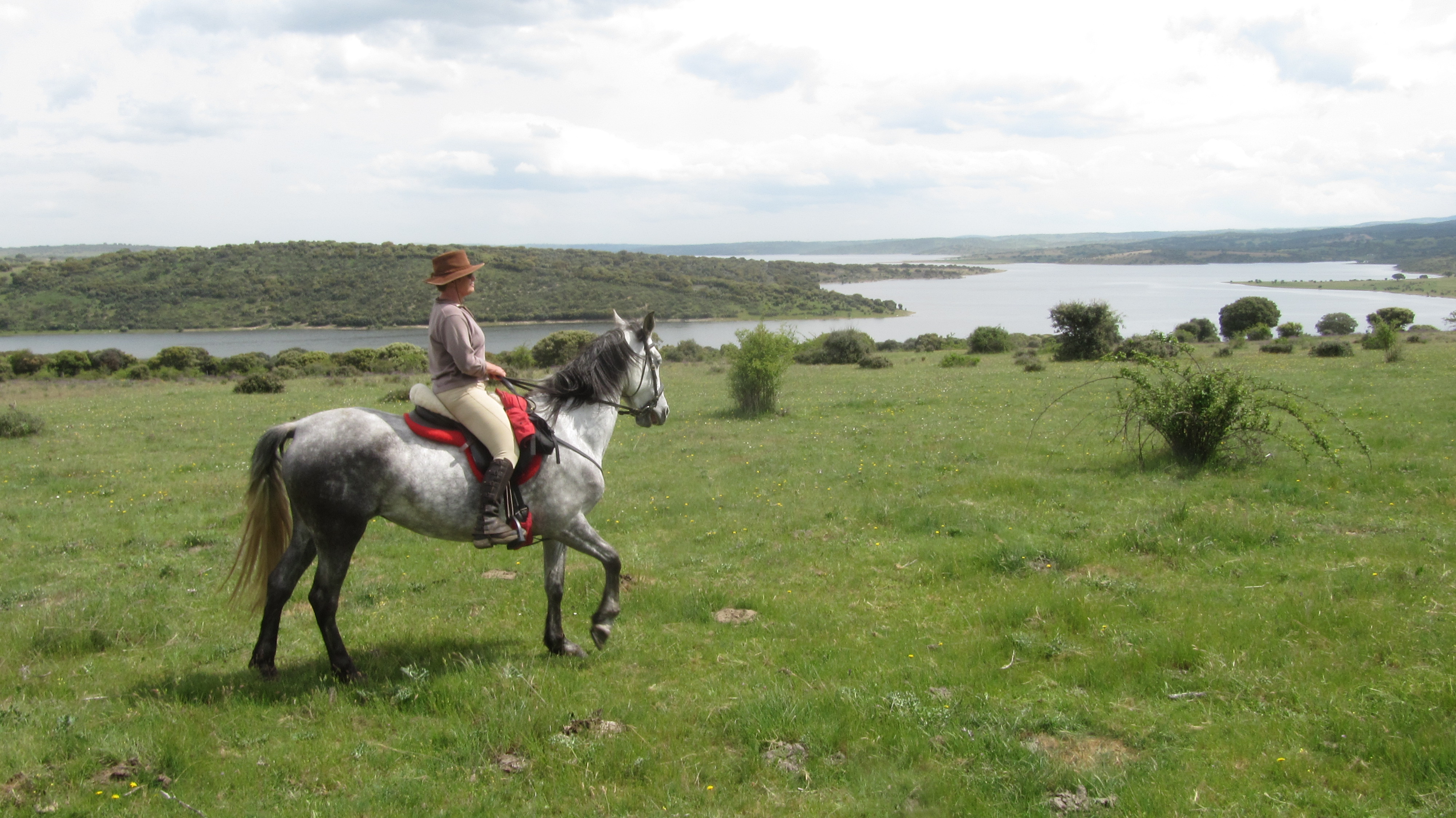 Image Espagne : A cheval de la Sierra de Gredos à Salamanque