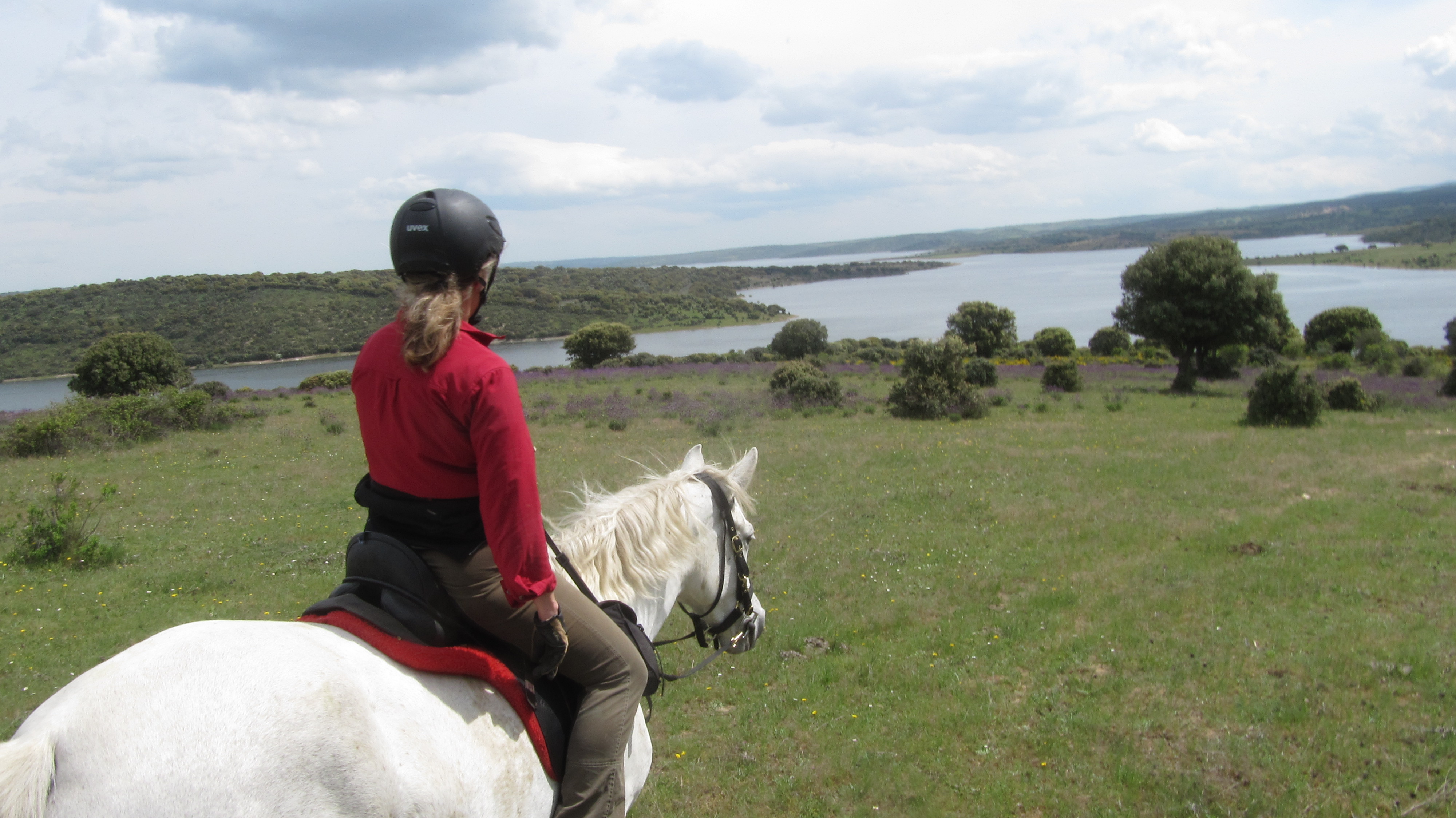 Image Espagne : A cheval de la Sierra de Gredos à Salamanque