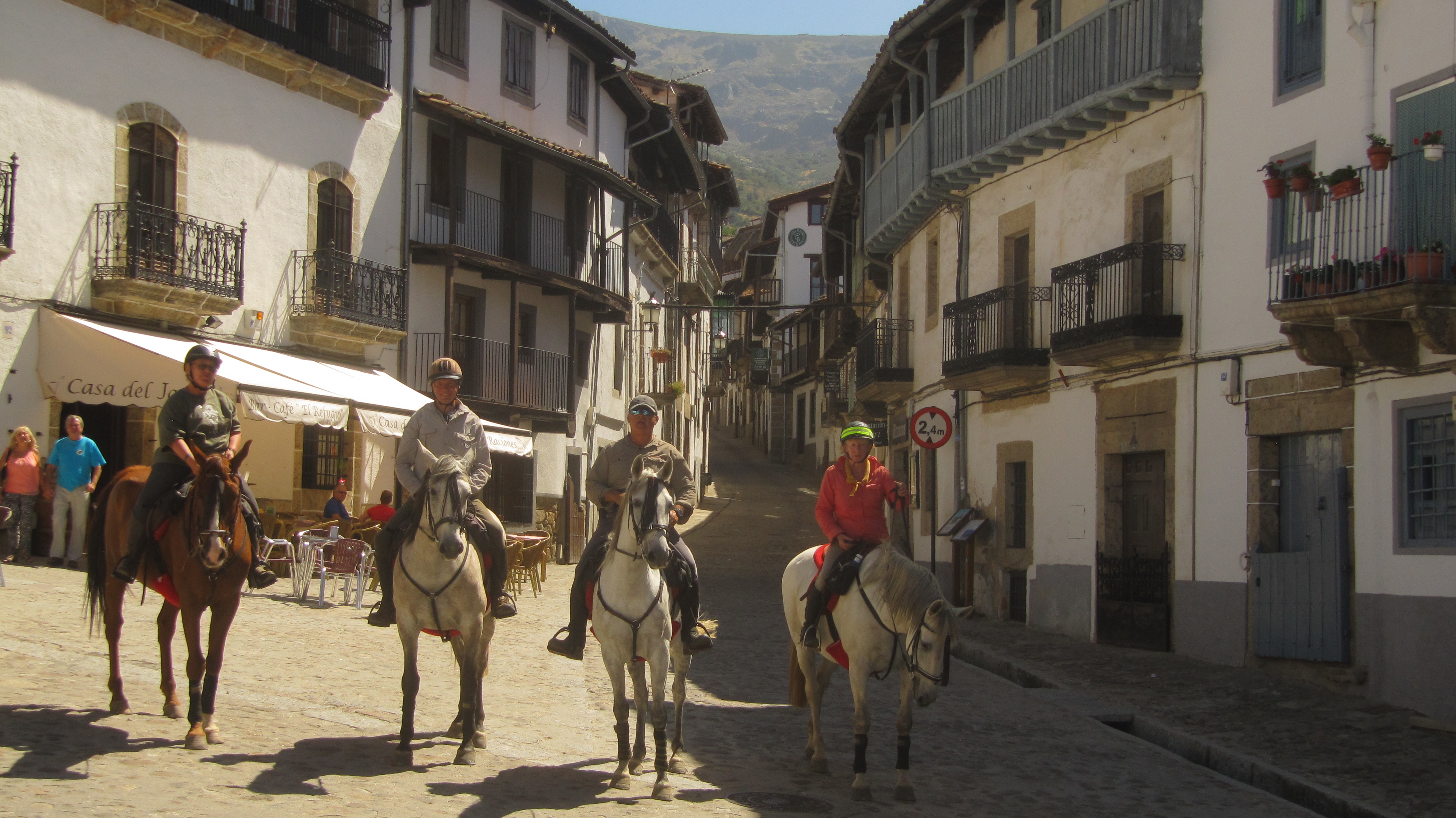 Image Espagne : A cheval de la Sierra de Gredos à Salamanque
