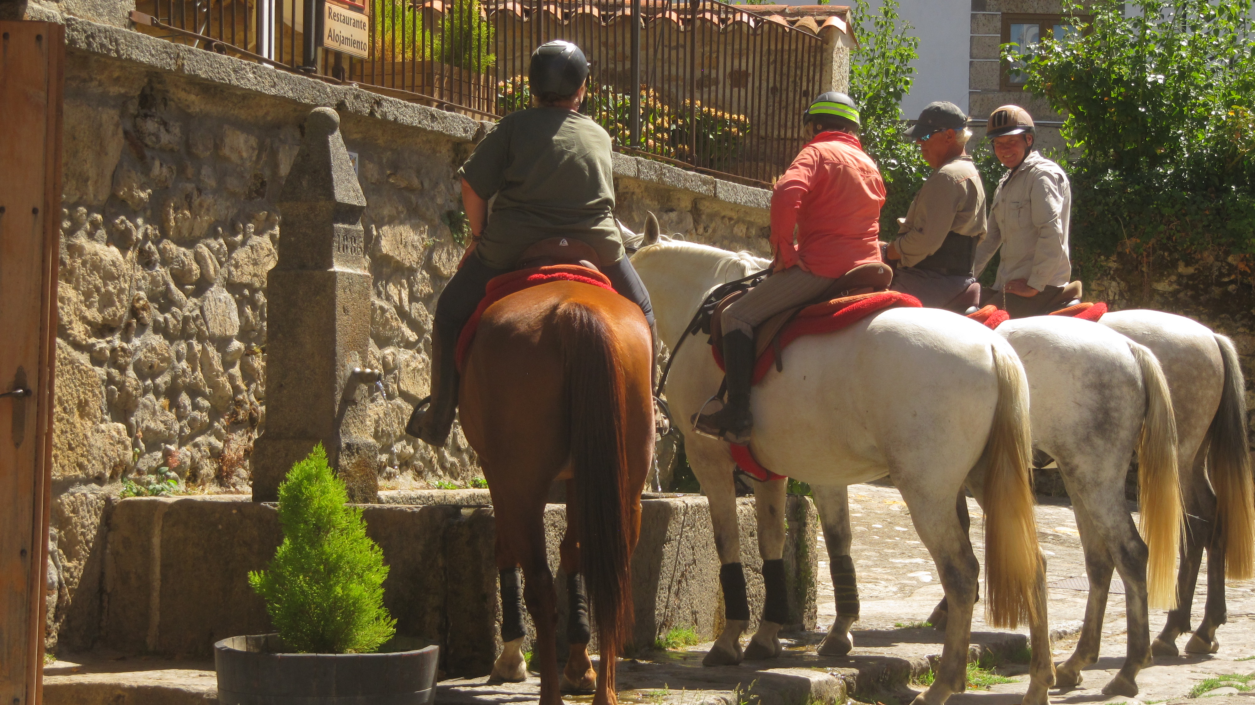Image Espagne : A cheval de la Sierra de Gredos à Salamanque