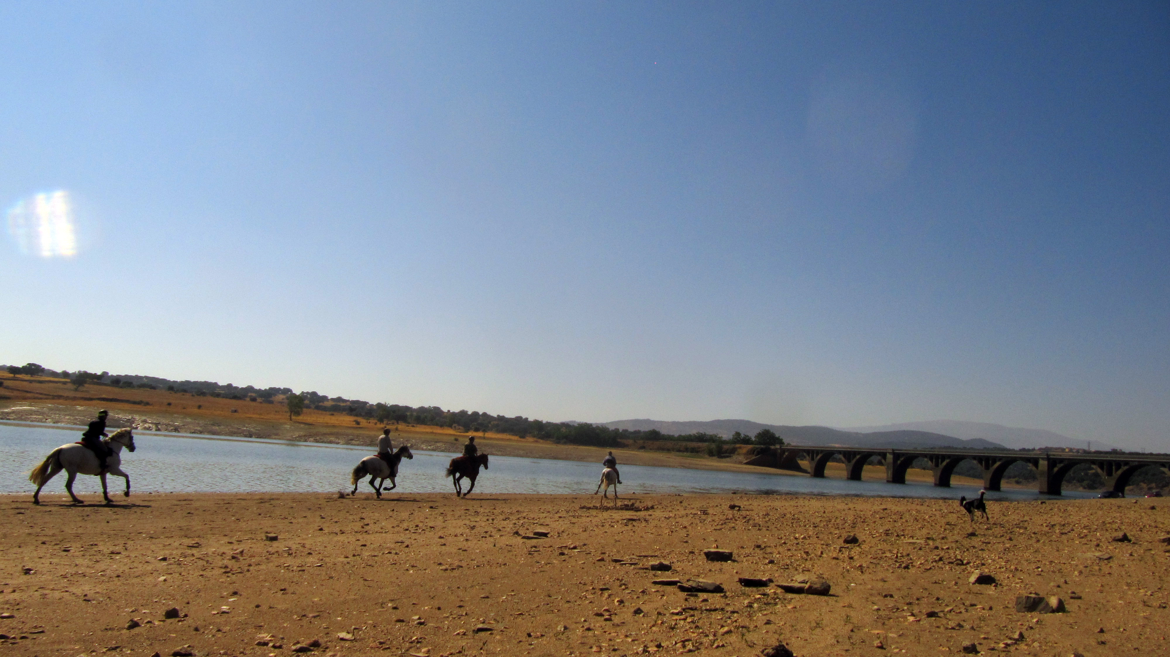 Image Espagne : A cheval de la Sierra de Gredos à Salamanque