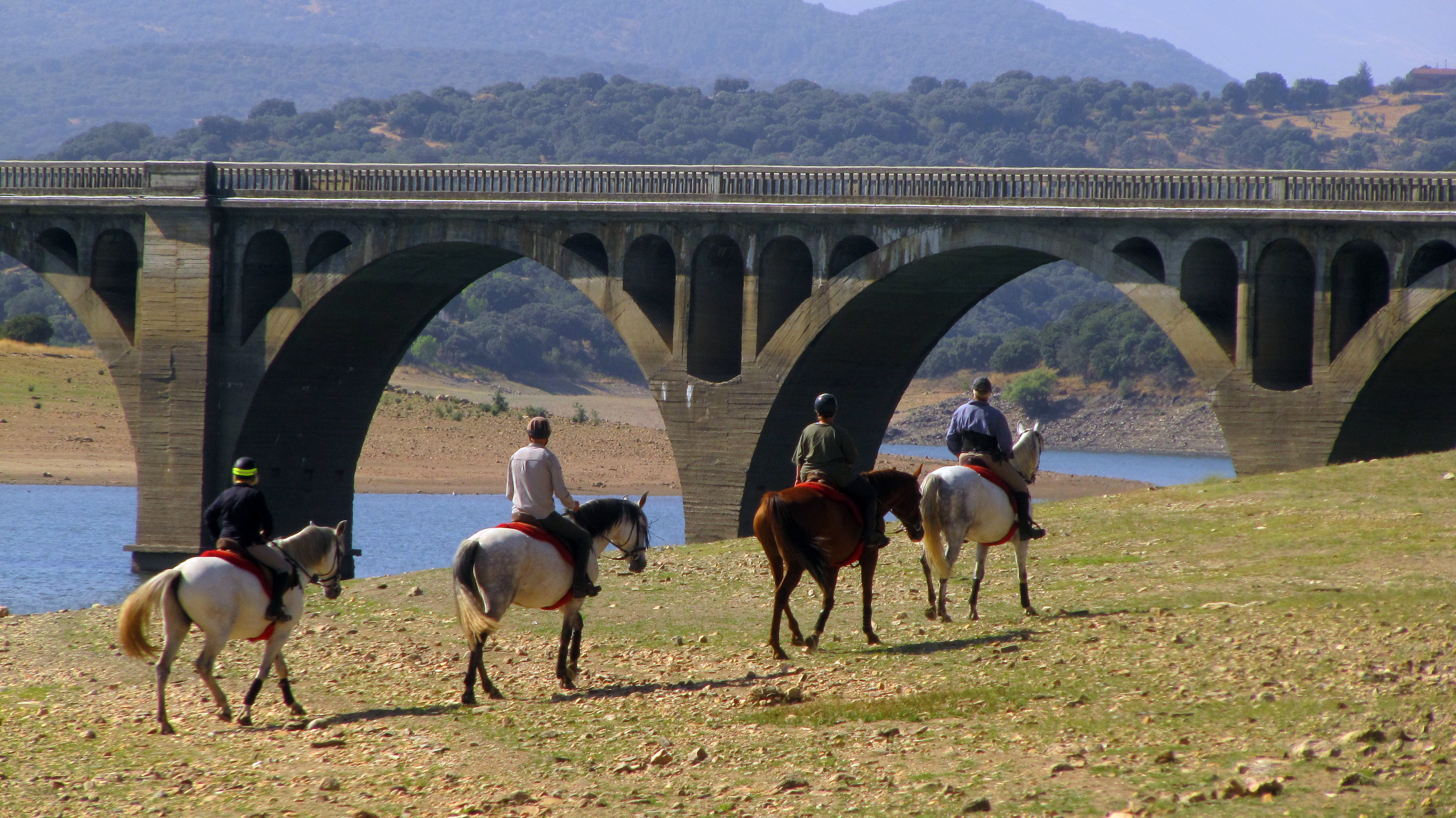 Image Espagne : A cheval de la Sierra de Gredos à Salamanque